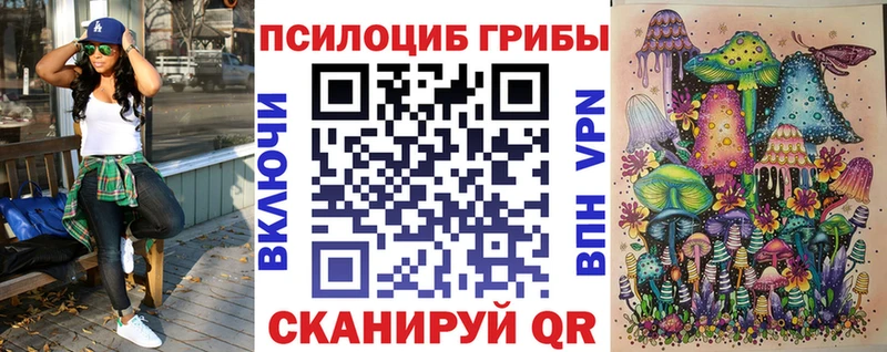 закладки  Юрьевец  Псилоцибиновые грибы Cubensis 